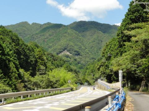 いよいよ峠越え
山の神には負けんぞ・・・・・ん？