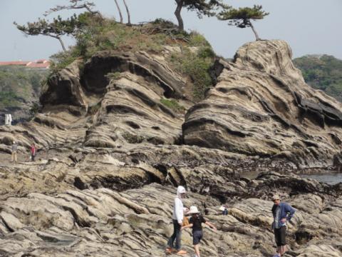 子供の頃よく遊びに連れてきてもらったんだけど、当時は魚釣りやら、ヤドカリ採りやらに夢中で、この造形美に気付かなかった。
でこぼこして歩きにくいなという程度の認識。
バカだったなぁ。