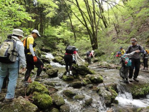 ロックガーデン
増水中の川を渡ります。
なかなか楽しい