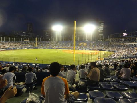 夏の神宮の外野は最高！！