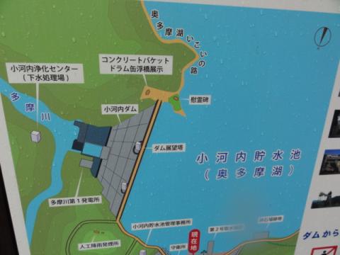 「奥多摩湖いこいの路」という遊歩道があるらしい。
行ってみよう！