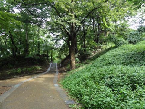 ここは地元の高校の陸上部の練習コースになっているらしい。