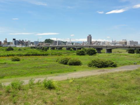 本当の～
夏が来た♪