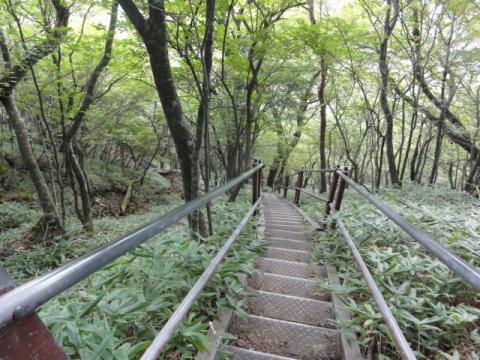 あとは下るだけ～

途中で野グソ発見！
トイレットペーパーで隠してあったので人糞確定(怒）
よっぽど我慢できなかったのだろうが、登山道のど真ん中にするなっての！！（激怒）！！