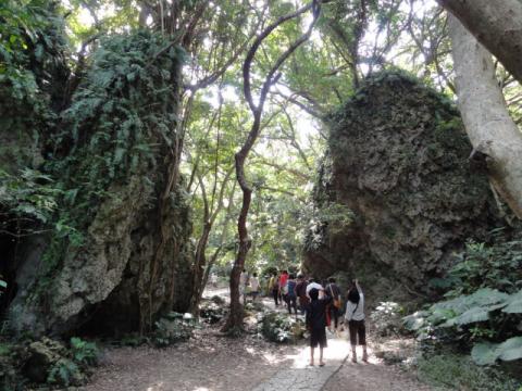 川口浩探検隊が行く・・・。
観光客多し。
ここはいったい・・・。