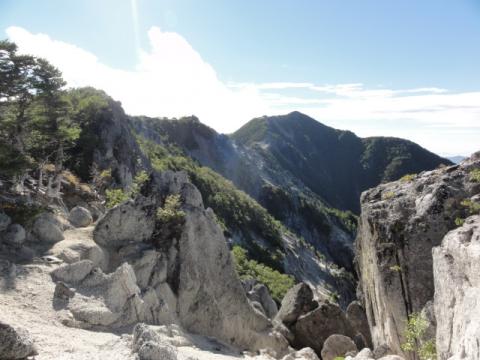 8:05
高嶺山までは、まだまだ登りが続く