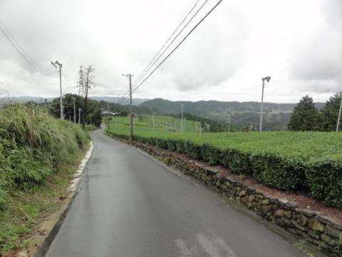 登ったら当然下るわけでして・・・
気持ちいい～