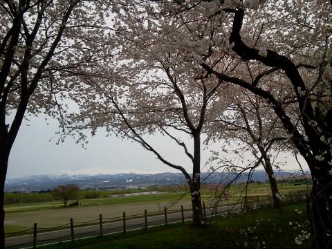 いつもの月山。今日は少しモヤモヤです。