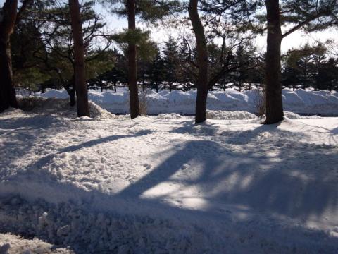 本日の運動公園です。実際に走る時間は夜で真っ暗なので、日中にちょいと撮影しておきました。