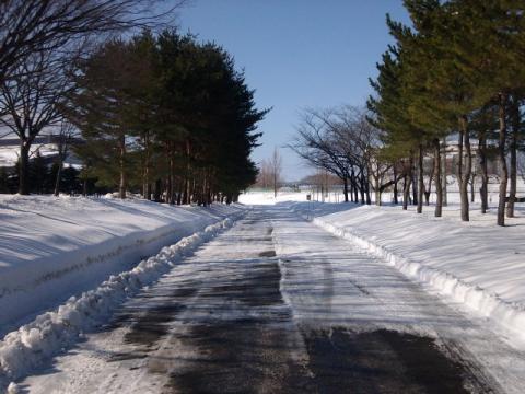 運動公園②