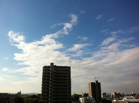 こんなに晴れてて気温8℃。この秋初めての10℃切れ。。。