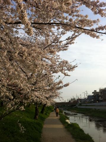 この先に岡崎城が（＾◇＾）疲労抜き散歩。。。