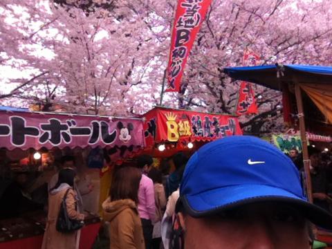 岡崎公園、花見で大賑わい（＾◇＾）