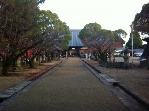 岡崎市・大樹寺