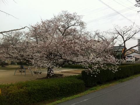 つなぎJOG4km（＾◇＾）