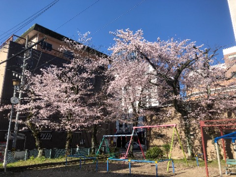 朝ドリル