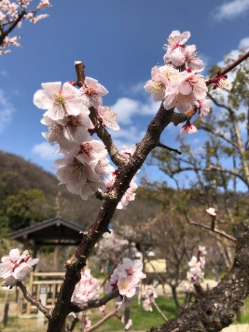 つなぎ