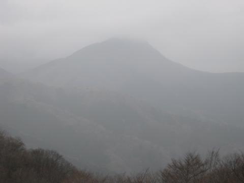 遥かに金時山が・・・遠い・・
見えないほうがよかった・・