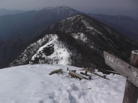 犬越路へ向かう　この後は痩せ尾根が