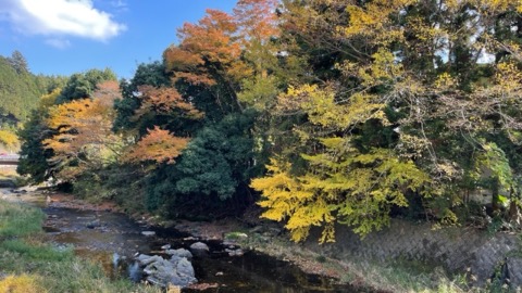 高麗川沿いの紅葉