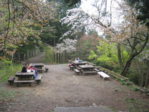 長尾平　まだ山桜が見頃