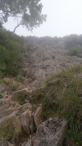 さらに険しい登りが山頂直下まで続く