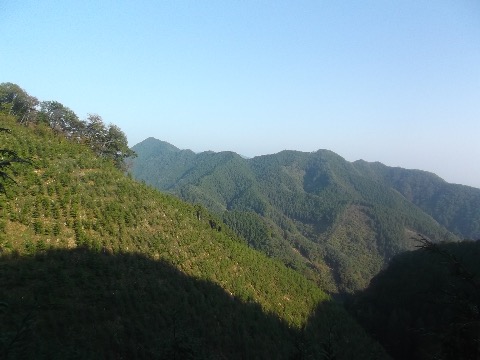 市道山手前で展望が開ける