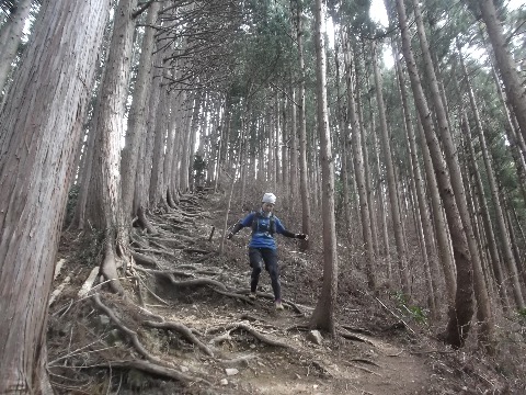 初ハセツネのNamiちゃん　軽快な足取りで激坂を下る