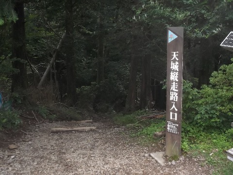ゴールの天城高原　今回は１７キロのショートコース　走れる部分も多く、人も少なく、美しい美林。最高のトレイルコースの一つ