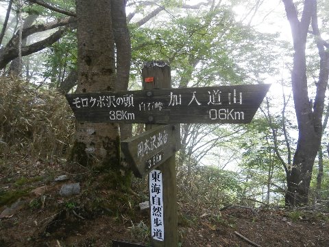 さらに畦が丸までと思ったが、タイムアウトにより西丹沢に下山