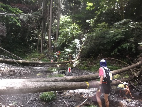 一旦、龍神川に降りるが、この後もアップダウンを繰り返す