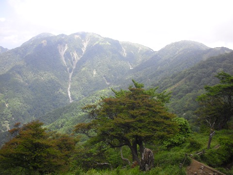 丹沢山　不動の峰　今日は雲の動きが速い