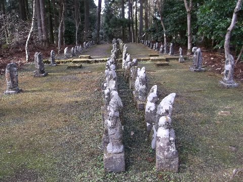 宝蔵院の苔むした参道