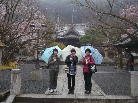 レース翌朝は、修善寺温泉界隈、疲労抜き散策　寒桜が満開の修禅寺にて　3人官女のお供をさせていただく