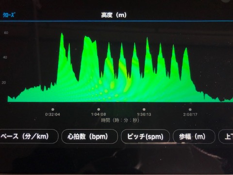 標高差３０〜４０m位のアップダウン　ひたすら耐える