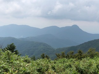 明神ケ岳から金時山