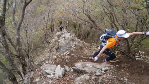 痩せた尾根が続く