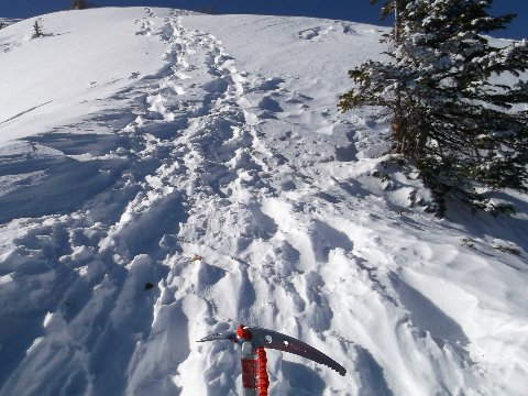 阿弥陀岳山頂直下の急登　登ったはいいけど無事降りられるか・・（恐）