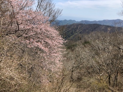 ２日目　丹沢山に向かう途中