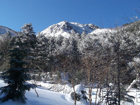 これから登る阿弥陀岳