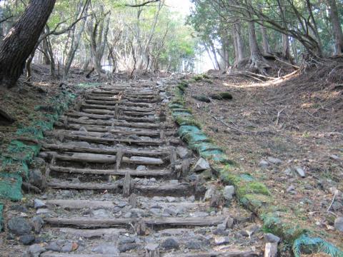 階段状の突き上げるような登りが続く