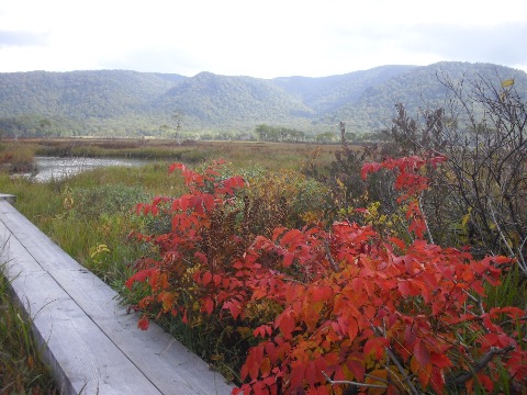 だいぶ紅葉が進んできた