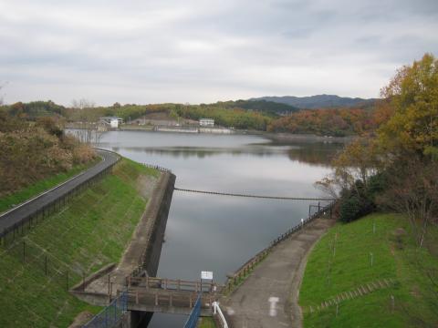 登りきったところから
白川ダム
ここから一気に天理へと降りる