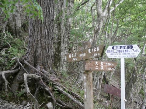 後沢乗越　ここから鍋割山山頂まで急登の連続