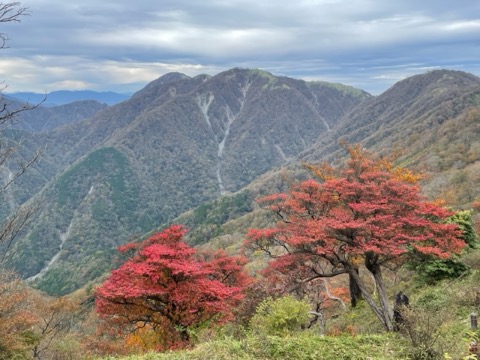 丹沢山の紅葉