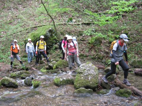 先日の大雨で沢の水量が多く至るところで足止め
おっかなびっくり沢を渡る。