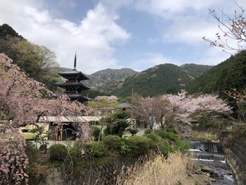 伊勢原　日向地区の里山風景