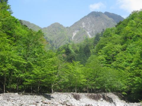 来し方を振り返る
新緑が本当に鮮やか