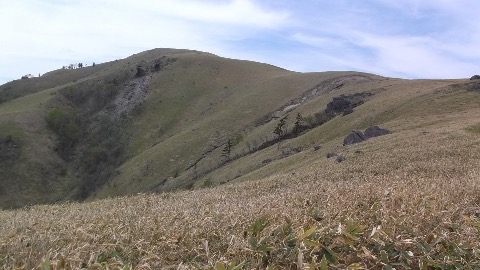 今日最後のピーク　三峯山　吹く風が心地よい。日曜日だというのに静寂のトレイル