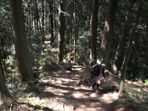 青梅丘陵　雷電山への急登